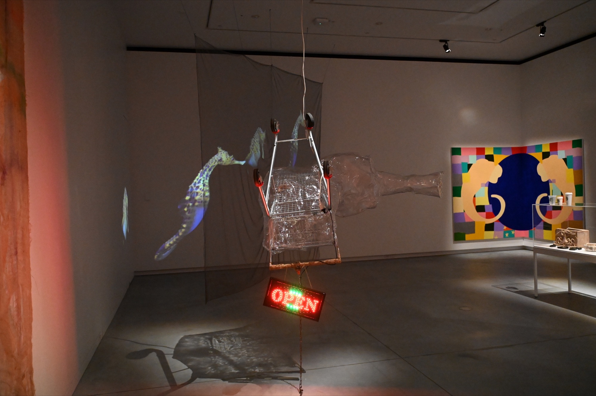 Mikala Dwyer: Penelope and the Seahorse project view 5
